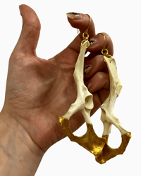 Hare Pelvis Earrings