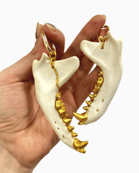 Badger Mandible Earrings
