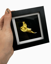 Rabbit mandible frame II