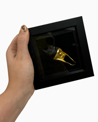 Mermaids Purse frame