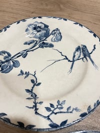 Image of Lot de 8 assiettes Oxford terre de fer 