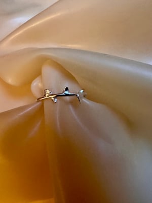 Image of "Thorns’ ring