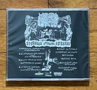 Image 2 of MEPHITIC CORPSE "Sickness Attracts Sickness" CD