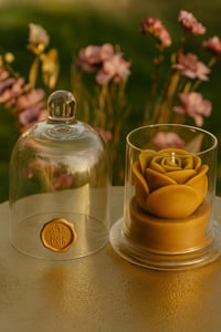 Image 2 of Rose Dome iridescent clear