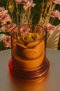 Image 3 of Rose Dome Pink 