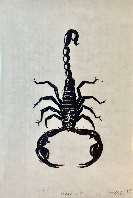 Image of NEW PRINT—House Scorpion