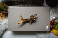 Image 5 of Antler Crystal Necklaces