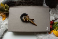 Image 6 of Antler Crystal Necklaces