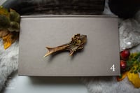 Image 7 of Antler Crystal Necklaces