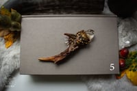 Image 8 of Antler Crystal Necklaces