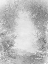 Image 6 of A Summer of a Thousand Years - Martin Bogren 