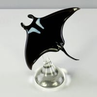 Image 1 of Manta Ray