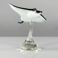 Image 3 of Manta Ray