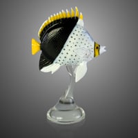 Image 2 of Tinker's Butterflyfish