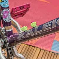 Image 3 of Cactus bosses cover