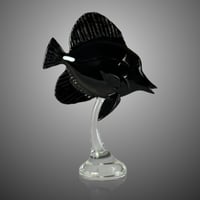 Image 1 of Black Tang 