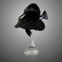 Image 2 of Black Tang 