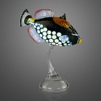 Image 1 of Clown Triggerfish
