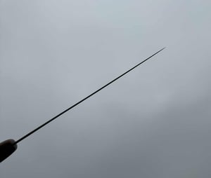 Image of 270 Western