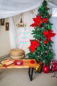 Image 5 of Full Studio rental 