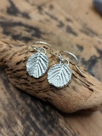 Image 3 of Black alder leaf earrings
