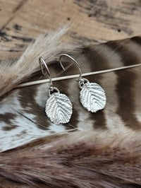 Image 1 of Black alder leaf earrings