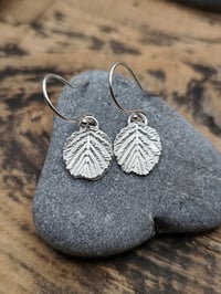 Image 4 of Black alder leaf earrings