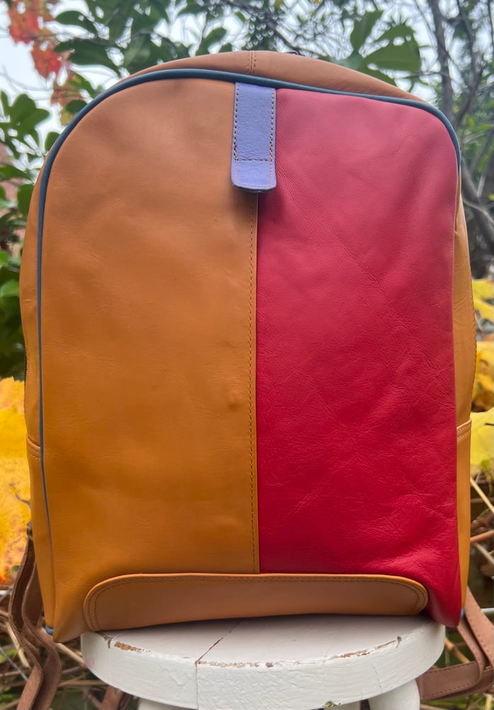 Image of 2-Coloured Backpack - 10C
