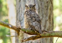 Image 4 of 2026 Calendar