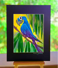 Image 2 of Hyacinth Macaw Illustration
