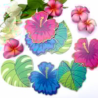 Image 1 of Botanical Floral Coaster Set