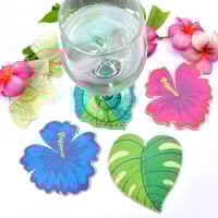 Image 2 of Botanical Floral Coaster Set
