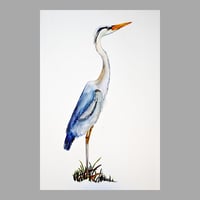 Image 1 of Original Large Great Blue Heron Watercolor Painting