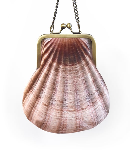 Image of Seashell, crossbody velvet bag with chain handle