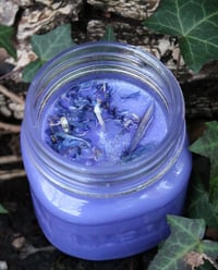 Blackberry & Vanilla Intuition Candle