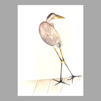 Image 1 of Heron in Longboat,  fine art watercolor bird painting