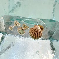 Image 2 of 14k solid gold shell stud earrings ( 3.7mm, 6mm, 10mm)