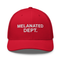Image 4 of Melanated Dept. Trucker
