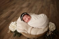 Image 4 of The Bump to Baby Collection | $895 plus tax ($195 to book)