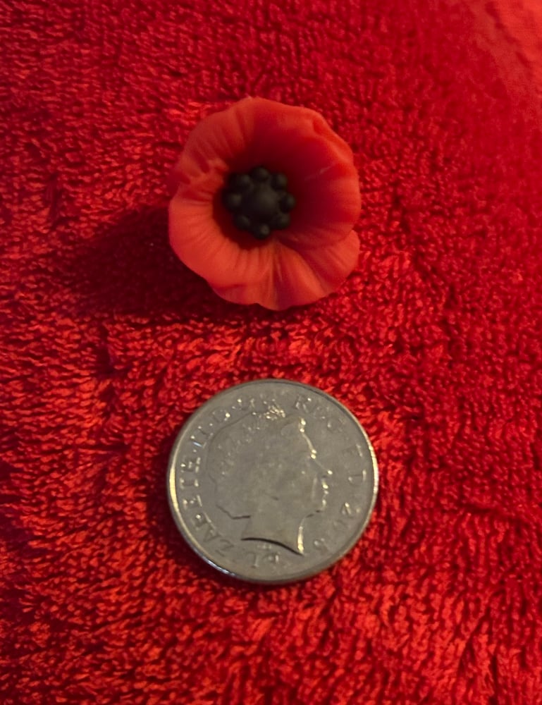 Image of Large poppy pin badge