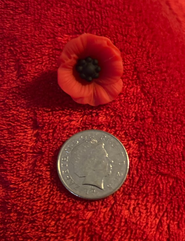 Image of Large poppy pin badge