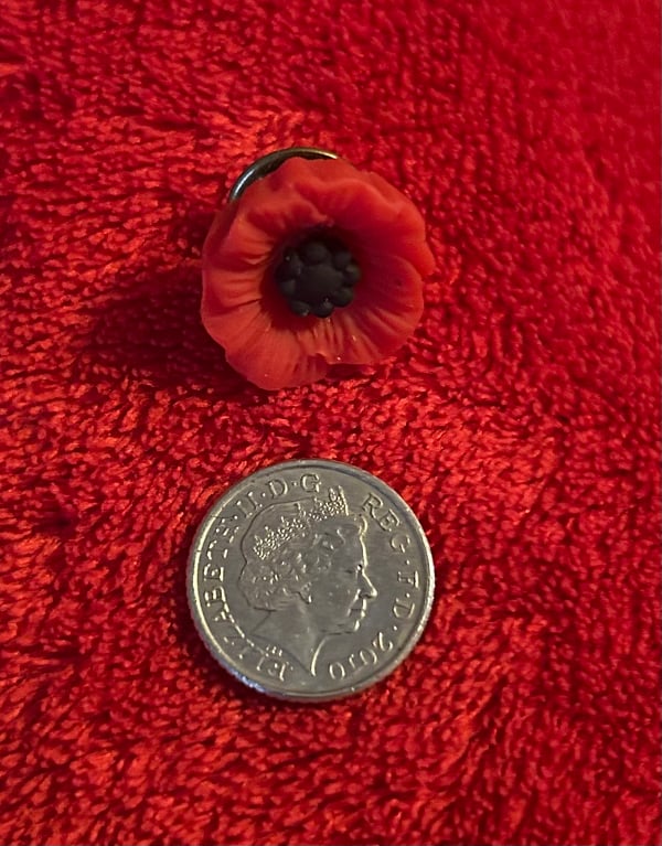 Image of Mini poppy pin 