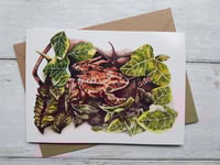 Frog in the Pond (Greeting Card)