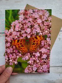 Image 1 of Butterfly (Photo Greeting Card)