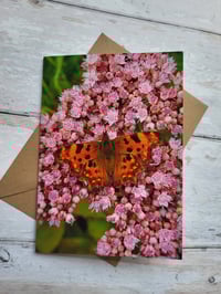 Image 2 of Butterfly (Photo Greeting Card)