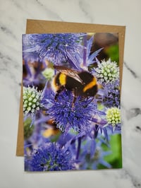Image 1 of Bumblebee on Thistle (Photo Greeting Card)