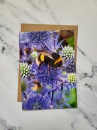 Image 2 of Bumblebee on Thistle (Photo Greeting Card)