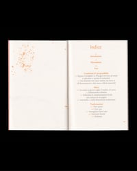 Image 3 of IN FERMENTO – Pratiche artistiche e culturali nei territori interni italiani