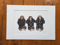 Image 1 of See no Evil, Speak no Evil, Hear No Evil. Monkeys (A5 Mounted Print)