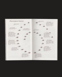 Image 2 of Ajda Pratika – buckwheat almanac